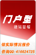 門戶型網(wǎng)站建設(shè)